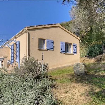 L'amandier -le Figuier-les Lauriers Roses Аяччо