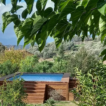 L'amandier -le Figuier-les Lauriers Roses