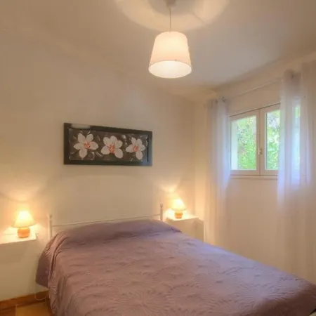 L'amandier -le Figuier-les Lauriers Roses Аяччо