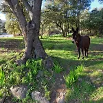 Дом отдыха L'amandier -le Figuier-les Lauriers Roses
