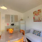 L'amandier -le Figuier-les Lauriers Roses Аяччо