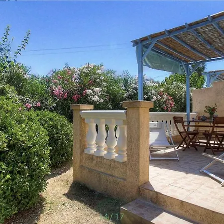 L'amandier -le Figuier-les Lauriers Roses Ajaccio (Corsica)