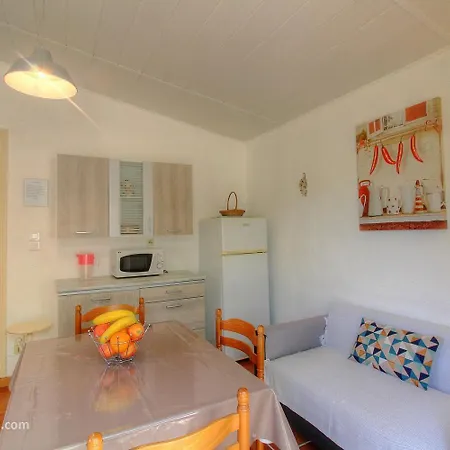 L'amandier -le Figuier-les Lauriers Roses Ajaccio (Corsica)