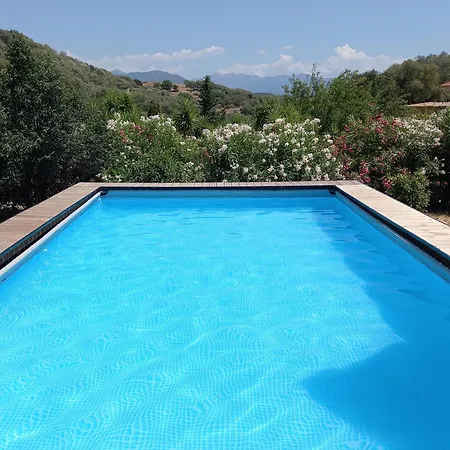 L'amandier -le Figuier-les Lauriers Roses