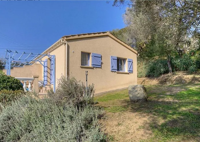 L'amandier -le Figuier-les Lauriers Roses Ajaccio (Corsica)