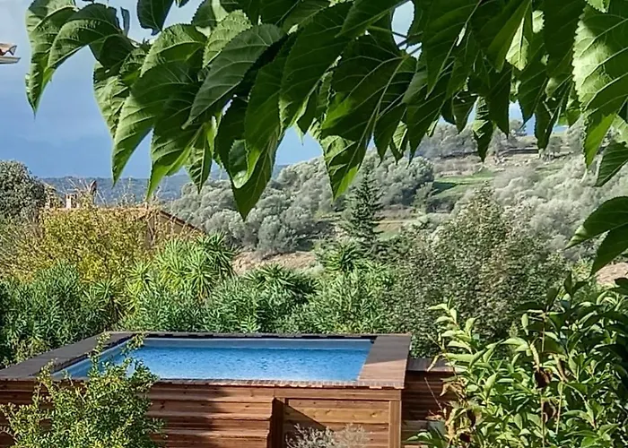 L'amandier -le Figuier-les Lauriers Roses