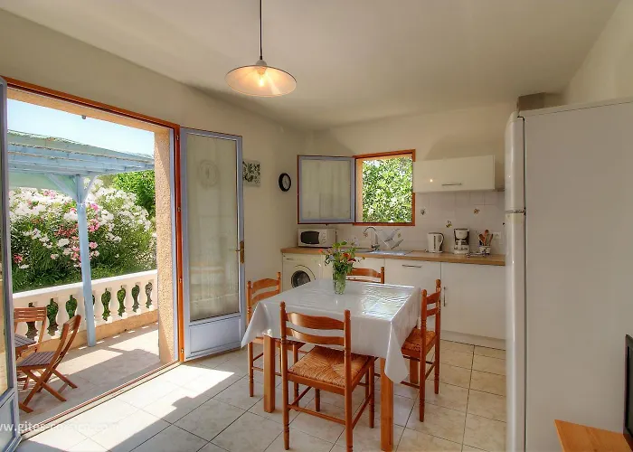 L'amandier -le Figuier-les Lauriers Roses * Ajaccio (Corsica)