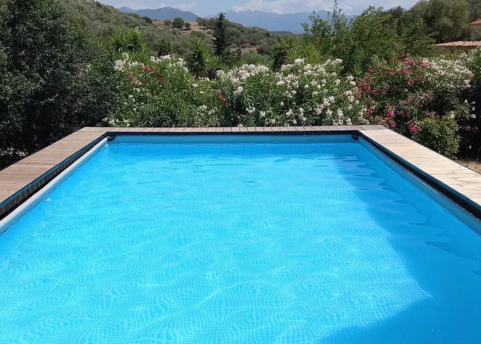 L'amandier -le Figuier-les Lauriers Roses